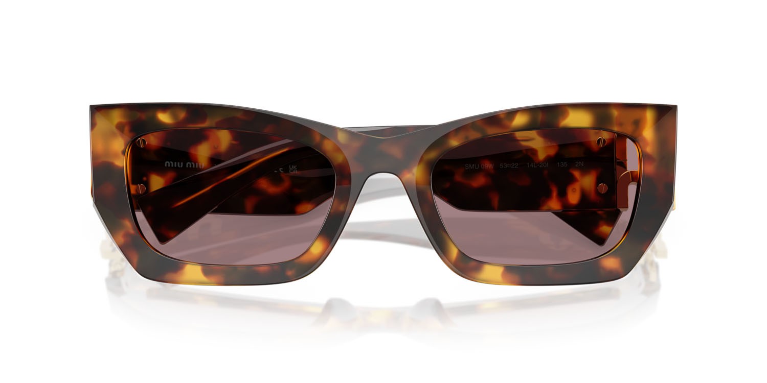 Sunglasses Miu Miu MU 09WS (14L20I) color havana miele shape rectangle lenses viola chiaro/marrone