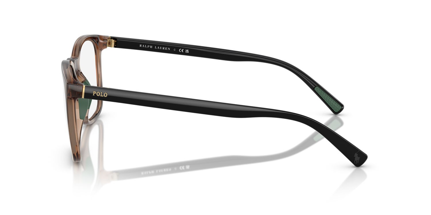 Eyeglasses Polo PH 2281U (5974) color havana scuro lucido shape rectangle lenses lente demo
