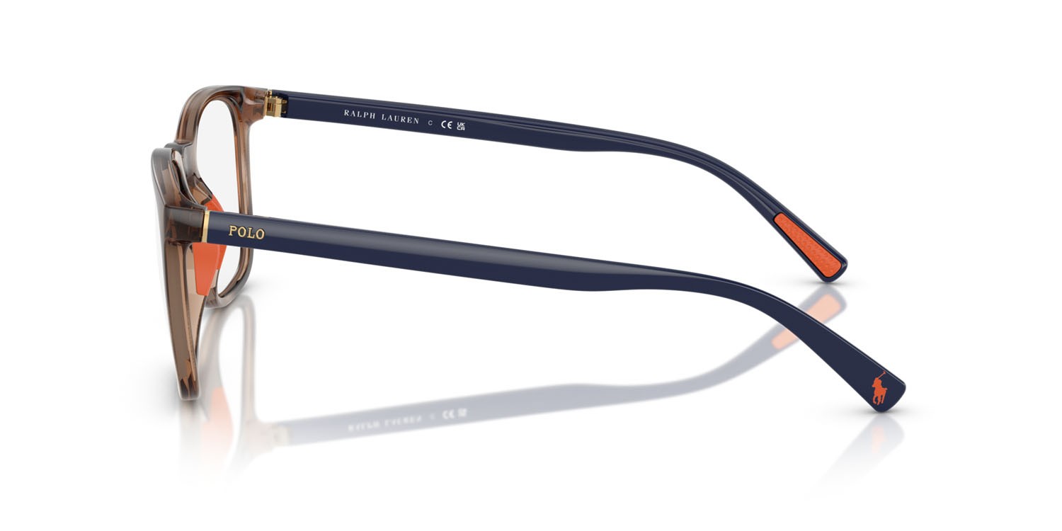 Eyeglasses Polo PH 2281U (6070) color havana scuro lucido shape rectangle lenses lente demo