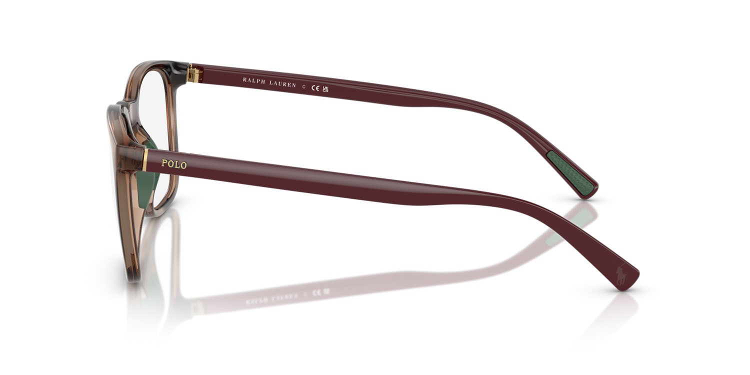 Eyeglasses Polo PH 2281U (6208) color havana scuro lucido shape rectangle lenses lente demo