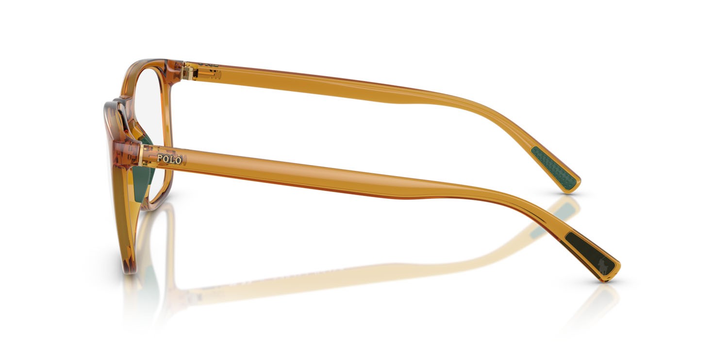 Eyeglasses Polo PH 2281U (6209) color miele trasparente lucido/marrone shape rectangle lenses lente demo