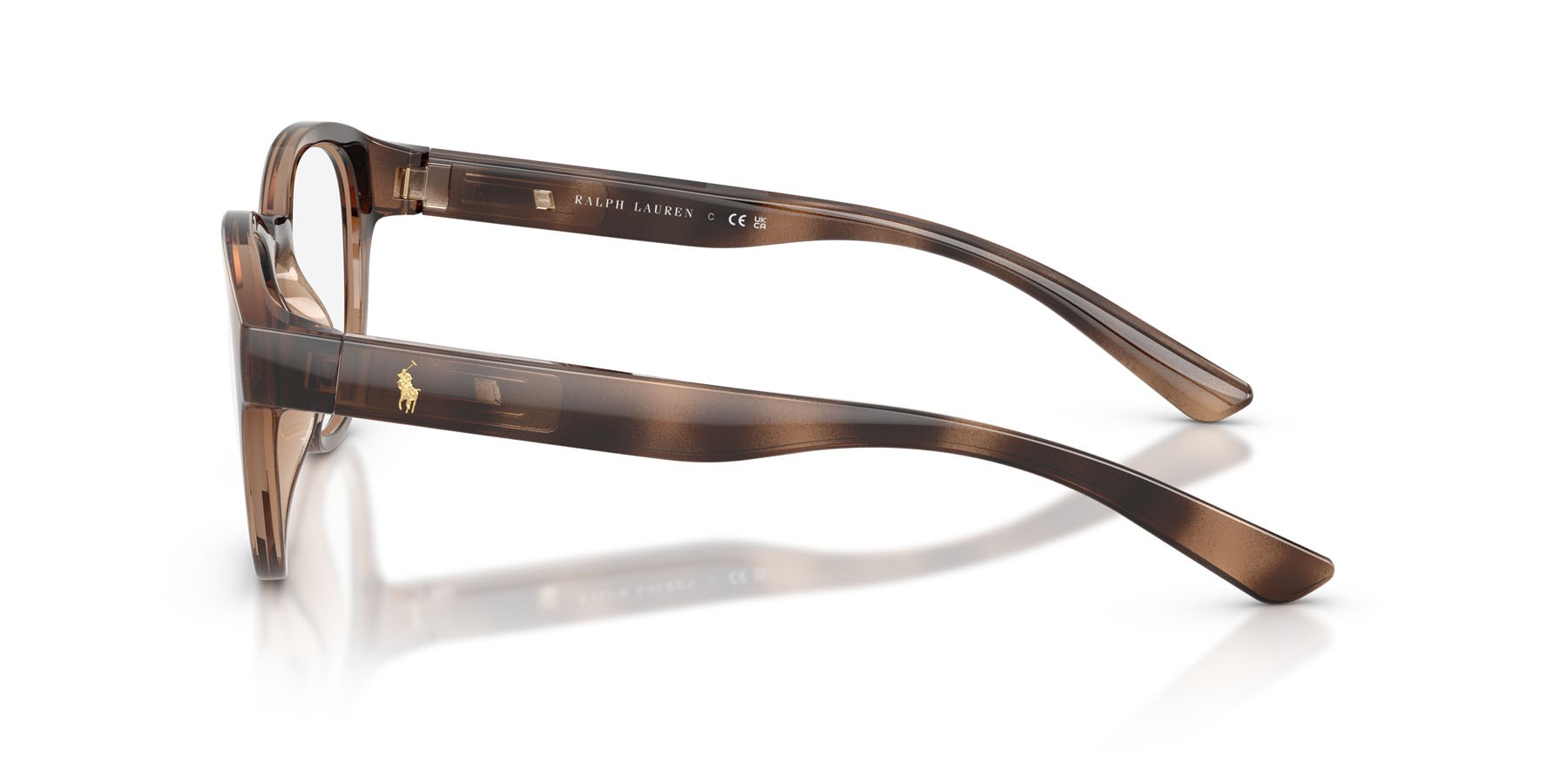 Eyeglasses Polo PH 2293U (6070) color havana scuro lucido shape pantos lenses lente demo