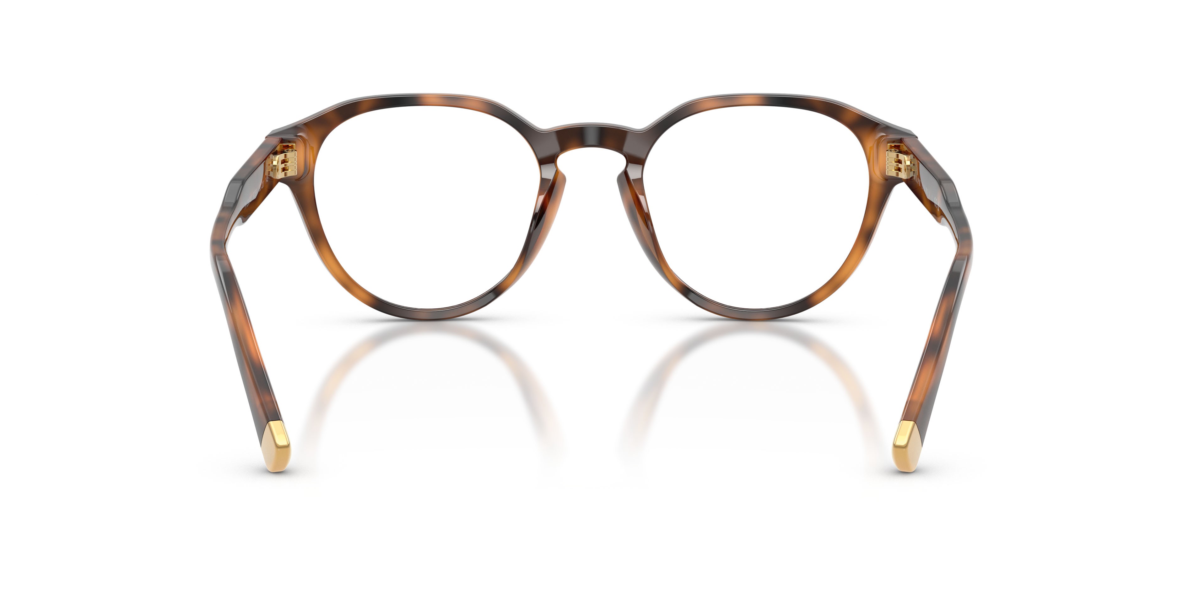 Eyeglasses Polo PH 2304U (6089) color rosso lucido havana shape pantos lenses lente demo