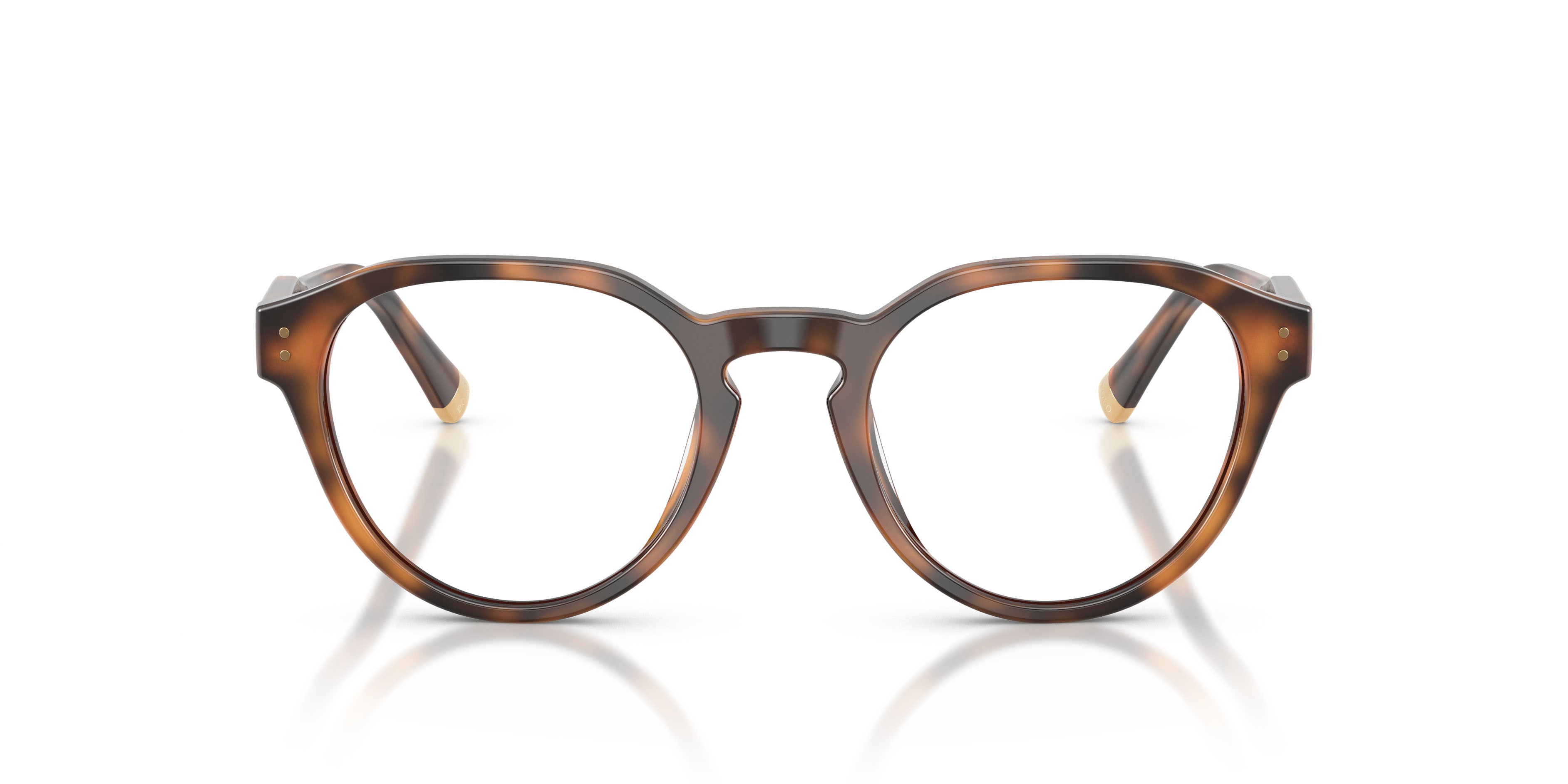 Eyeglasses Polo PH 2304U (6089) color rosso lucido havana shape pantos lenses lente demo