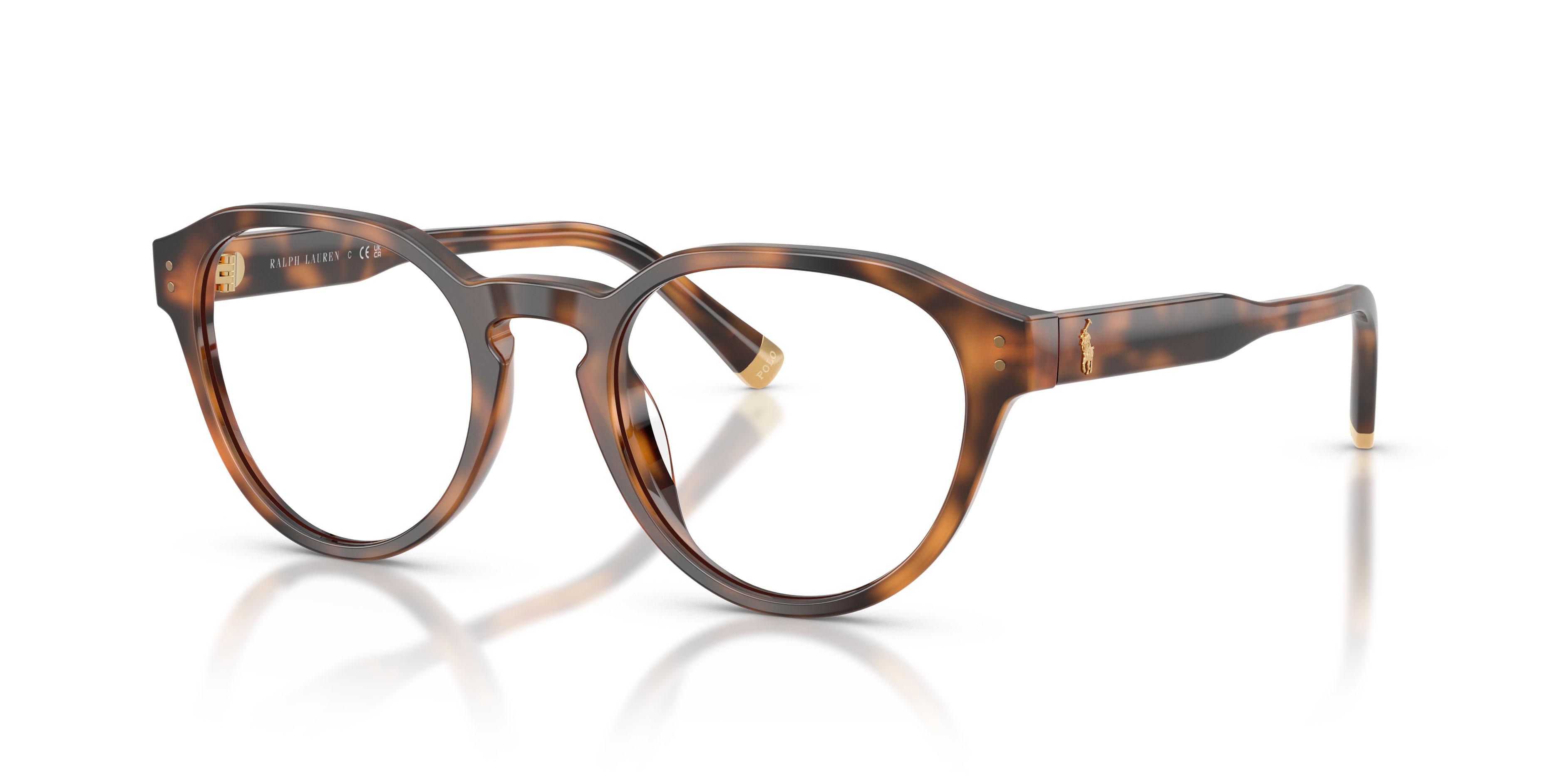 Eyeglasses Polo PH 2304U (6089) color rosso lucido havana shape pantos lenses lente demo