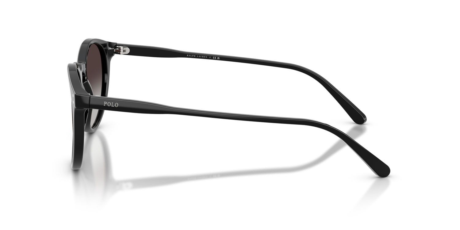 Occhiali da sole Polo PH 4110 (50018G) colore nero lucido forma pantos lenti grigio sfumato