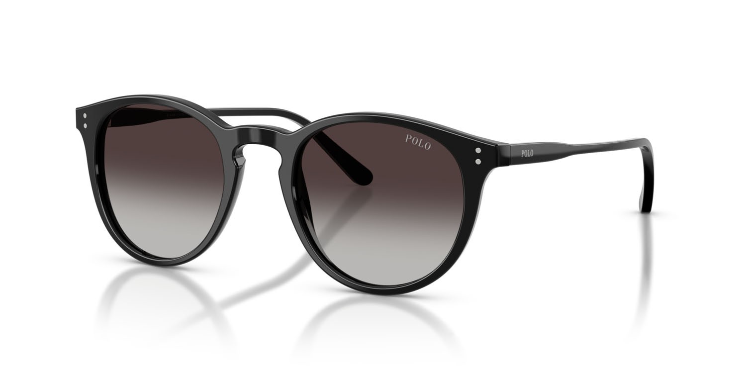 Occhiali da sole Polo PH 4110 (50018G) colore nero lucido forma pantos lenti grigio sfumato