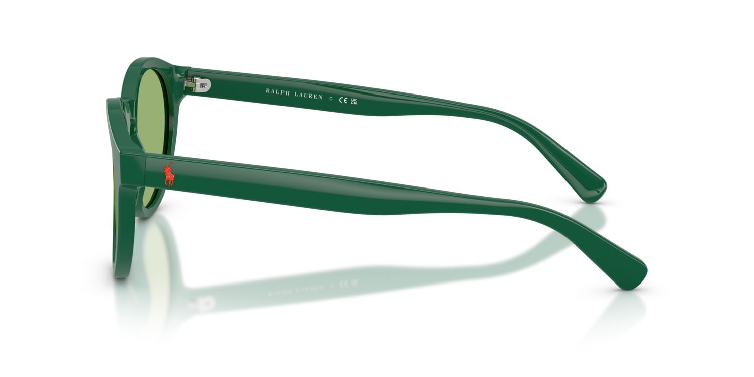 Occhiali da sole Polo PH 4192 (6141/2) colore verde scuro lucido forma rotondo lenti verde chiaro