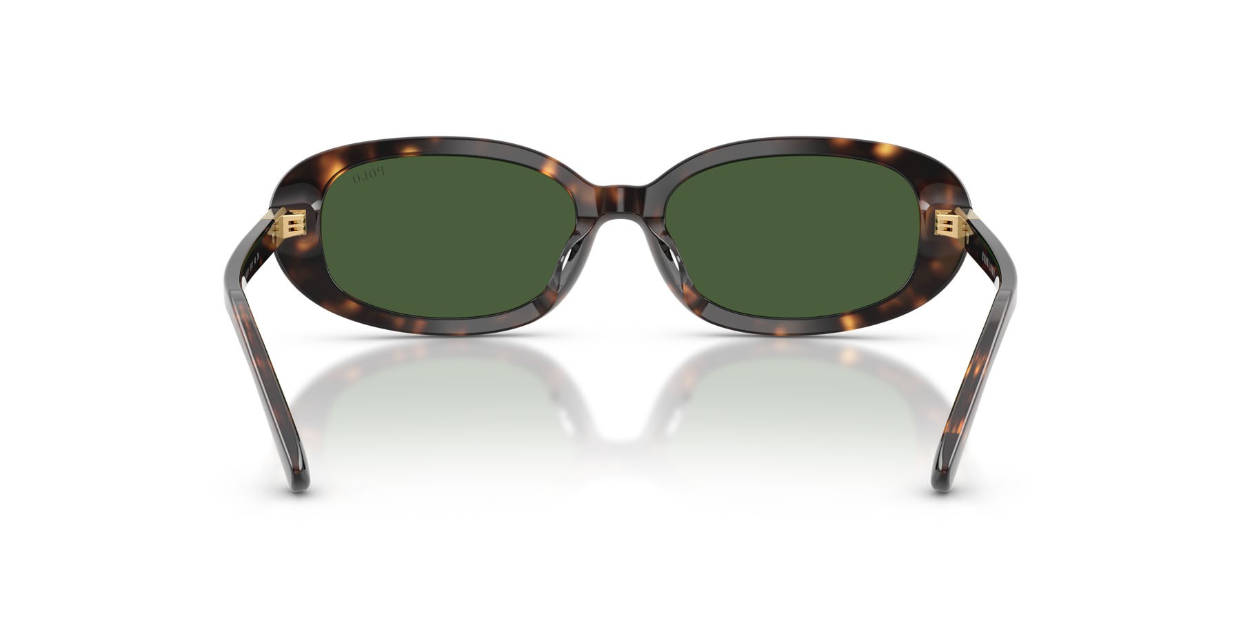 Occhiali da sole Polo PH 4198U (500371) colore havana scuro lucido forma ovale lenti verde bottiglia