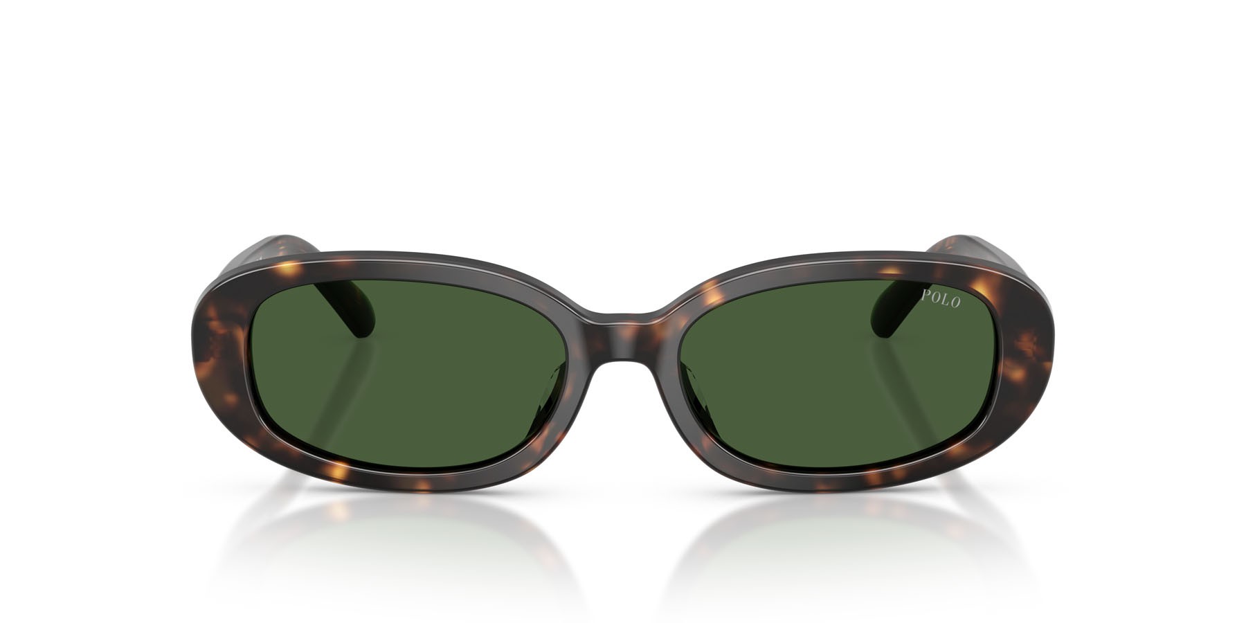 Occhiali da sole Polo PH 4198U (500371) colore havana scuro lucido forma ovale lenti verde bottiglia