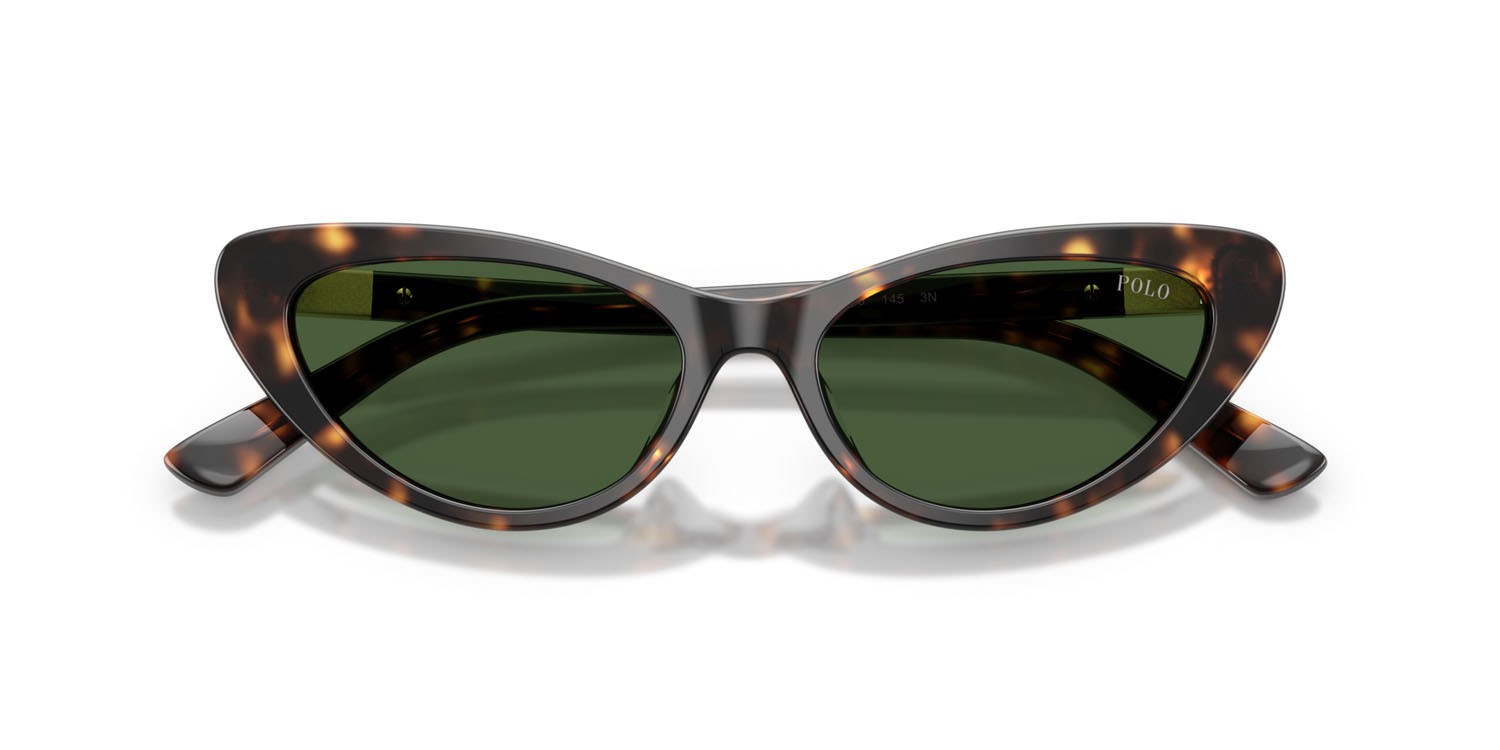 Occhiali da sole Polo PH 4199U (500371) colore havana scuro lucido forma cat eye lenti verde bottiglia
