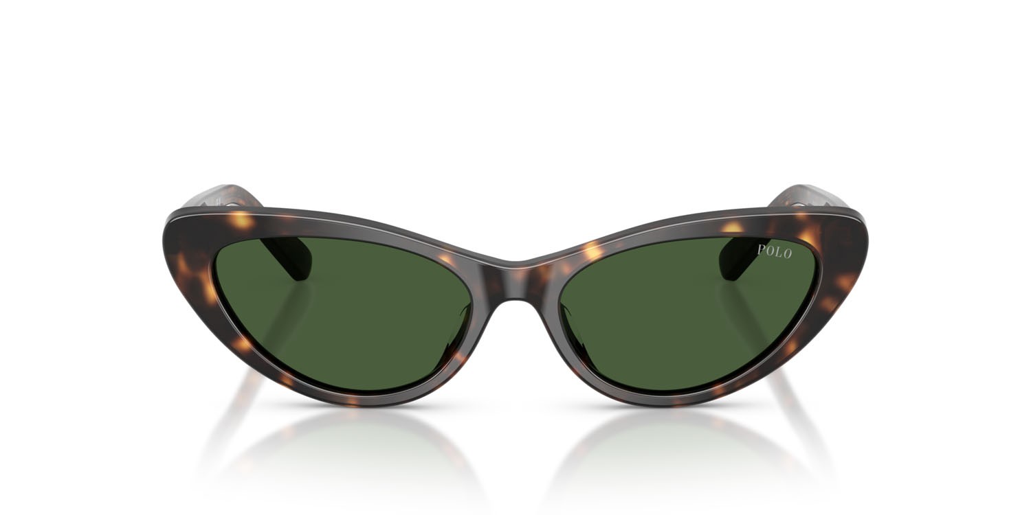 Occhiali da sole Polo PH 4199U (500371) colore havana scuro lucido forma cat eye lenti verde bottiglia