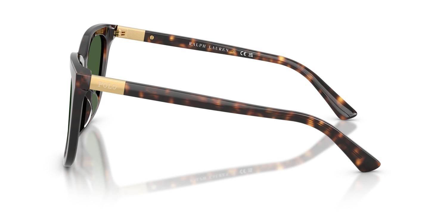 Occhiali da sole Polo PH 4201U (500371) colore havana scuro lucido forma quadrato lenti verde bottiglia