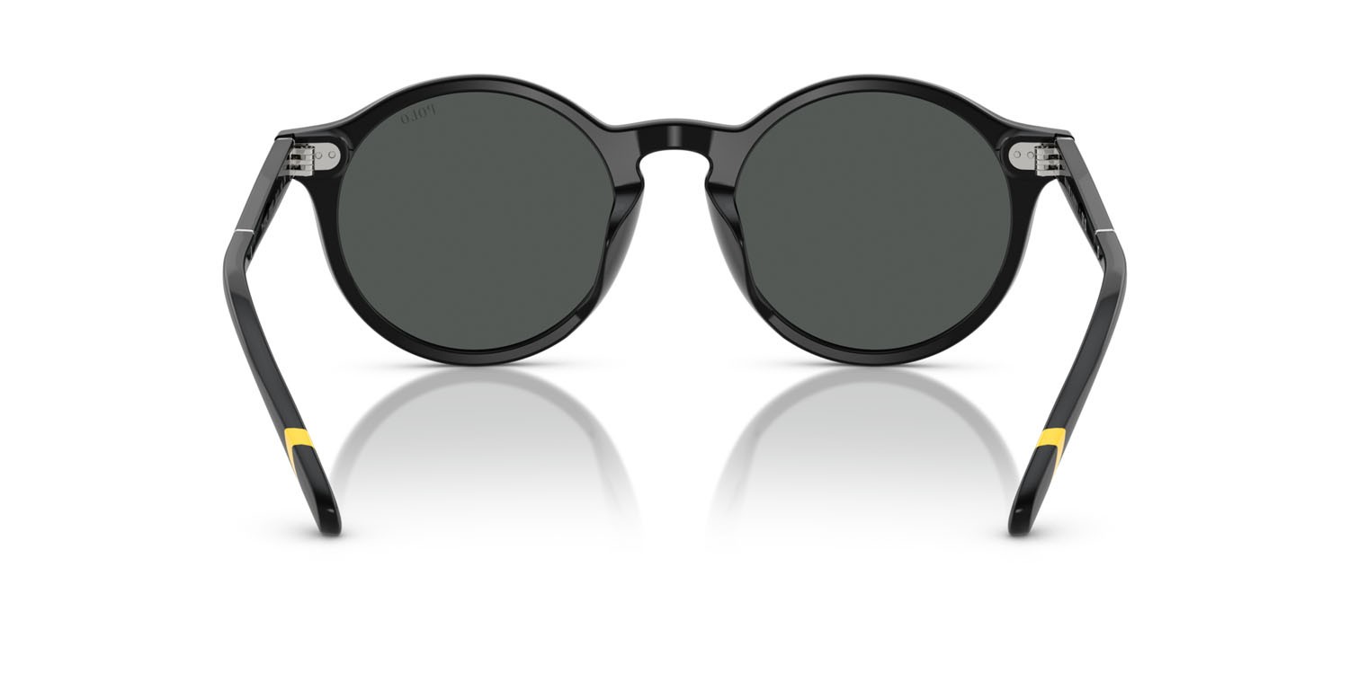 Occhiali da sole Polo PH 4204U (538587) colore nero lucido forma pantos lenti grigio scuro