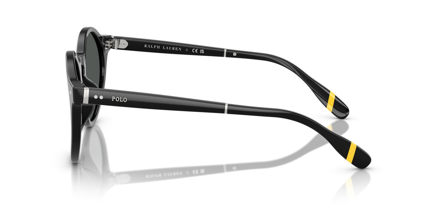 Occhiali da sole Polo PH 4204U (538587) colore nero lucido forma pantos lenti grigio scuro