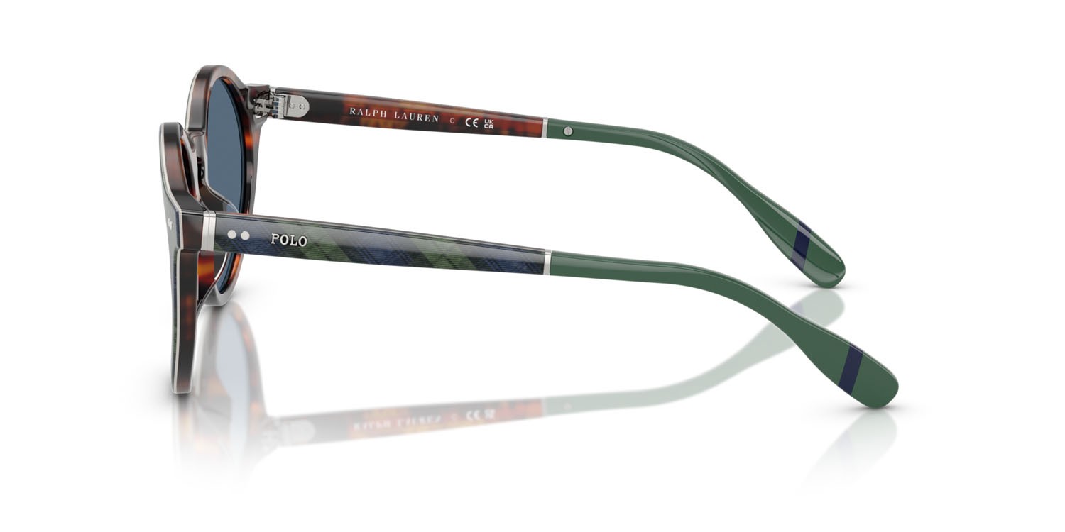 Sunglasses Polo PH 4204U (562180) color blu tartan lucido/verde shape pantos lenses blu scuro