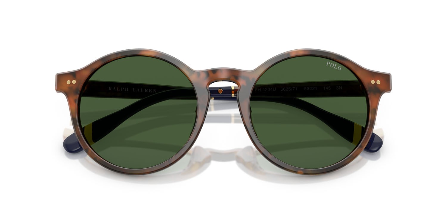 Occhiali da sole Polo PH 4204U (562571) colore marrone tartarugato brillante forma pantos lenti verde bottiglia