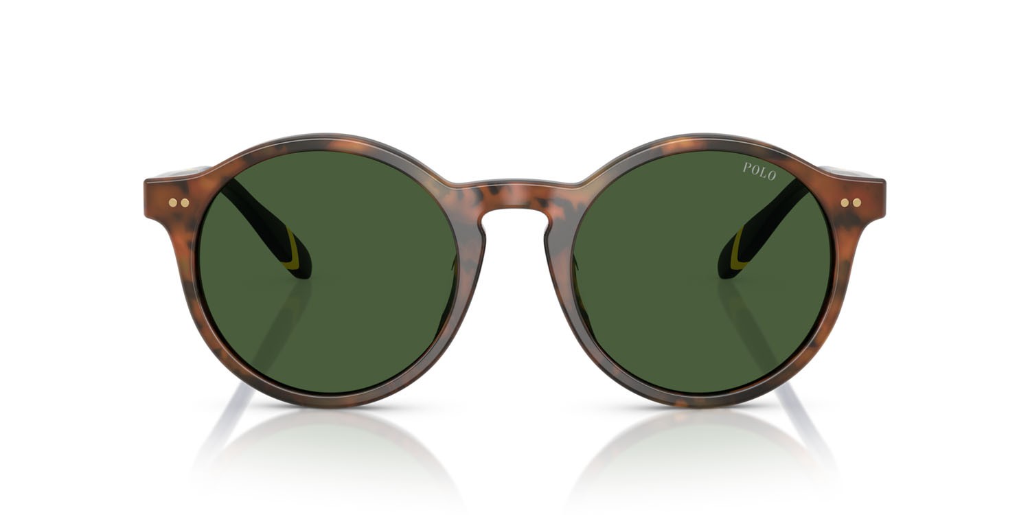 Occhiali da sole Polo PH 4204U (562571) colore marrone tartarugato brillante forma pantos lenti verde bottiglia
