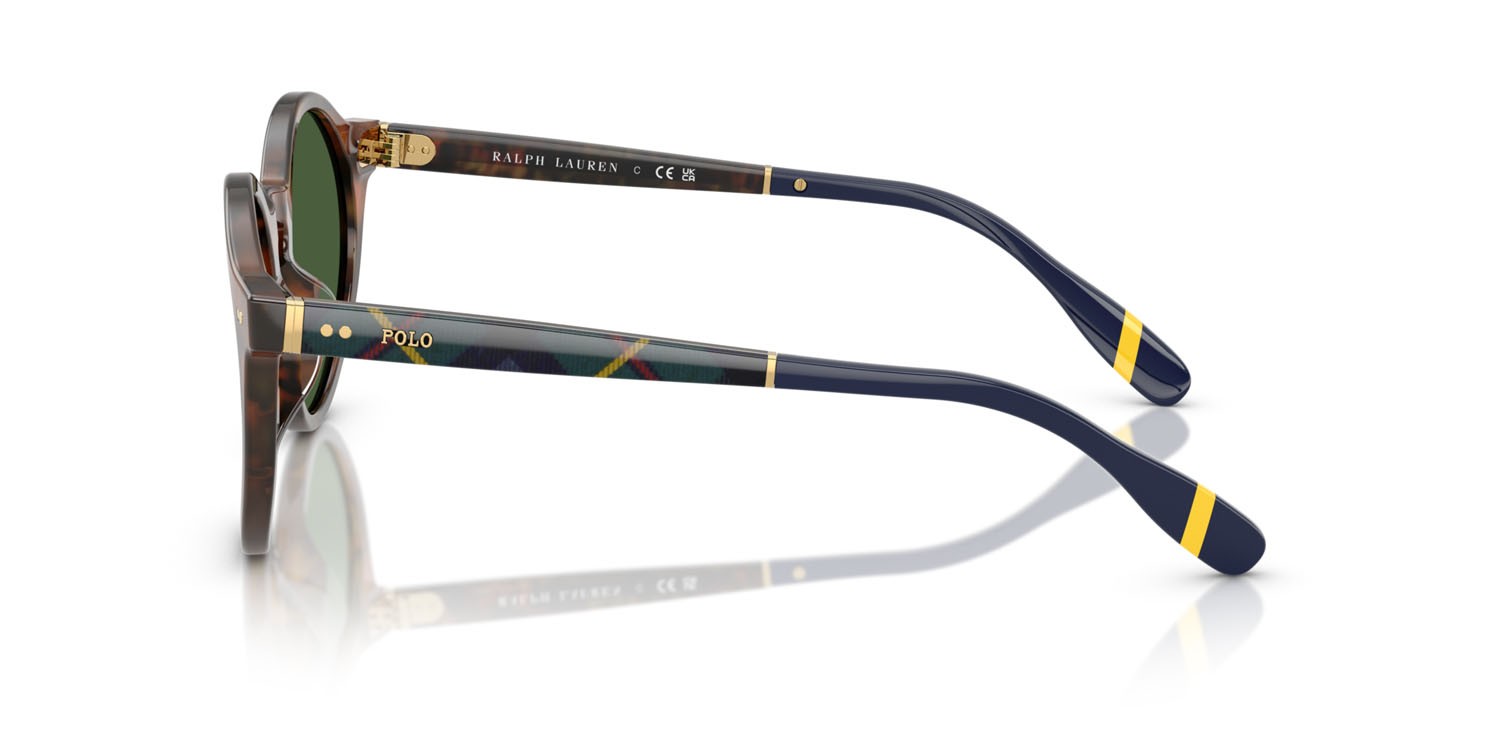 Occhiali da sole Polo PH 4204U (562571) colore marrone tartarugato brillante forma pantos lenti verde bottiglia