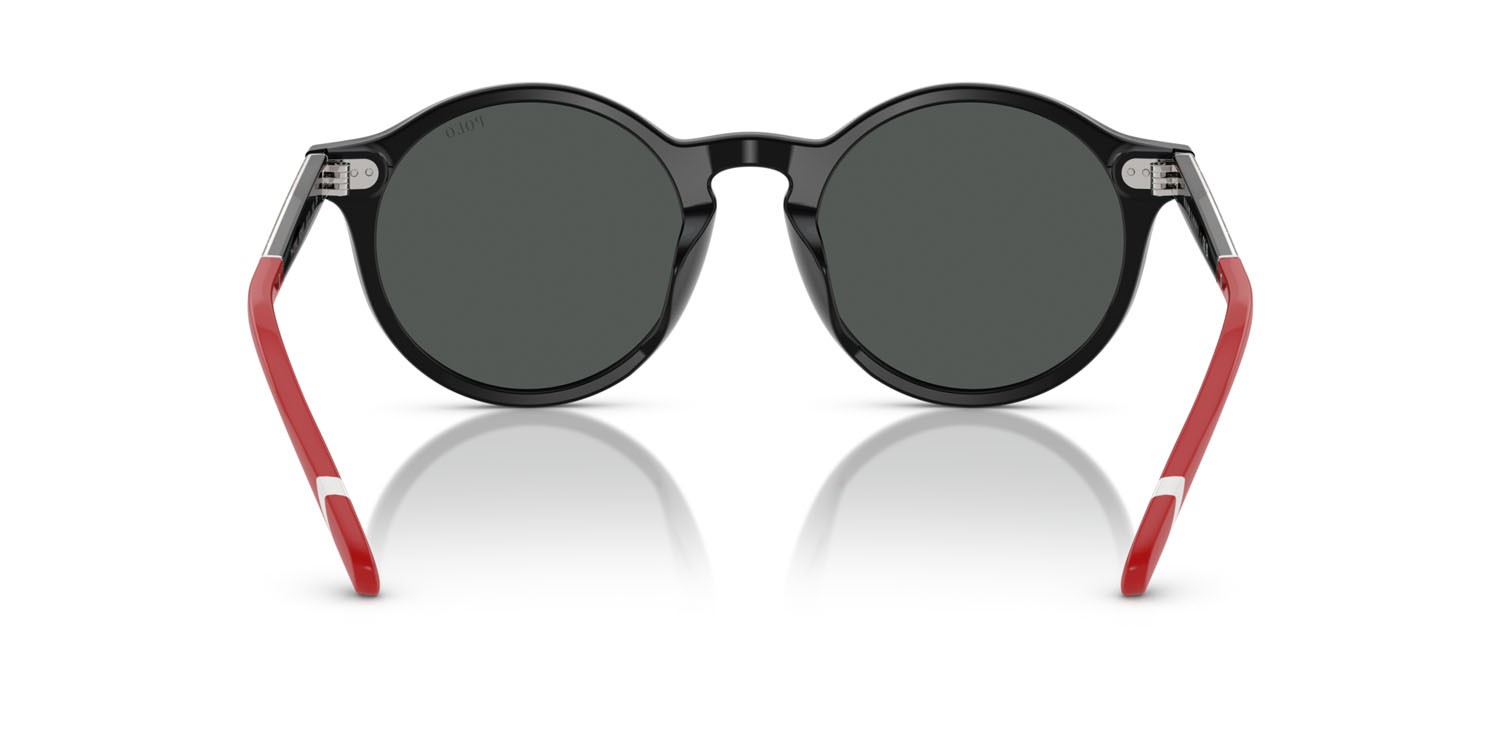 Sunglasses Polo PH 4204U (562687) color nero lucido shape pantos lenses grigio scuro