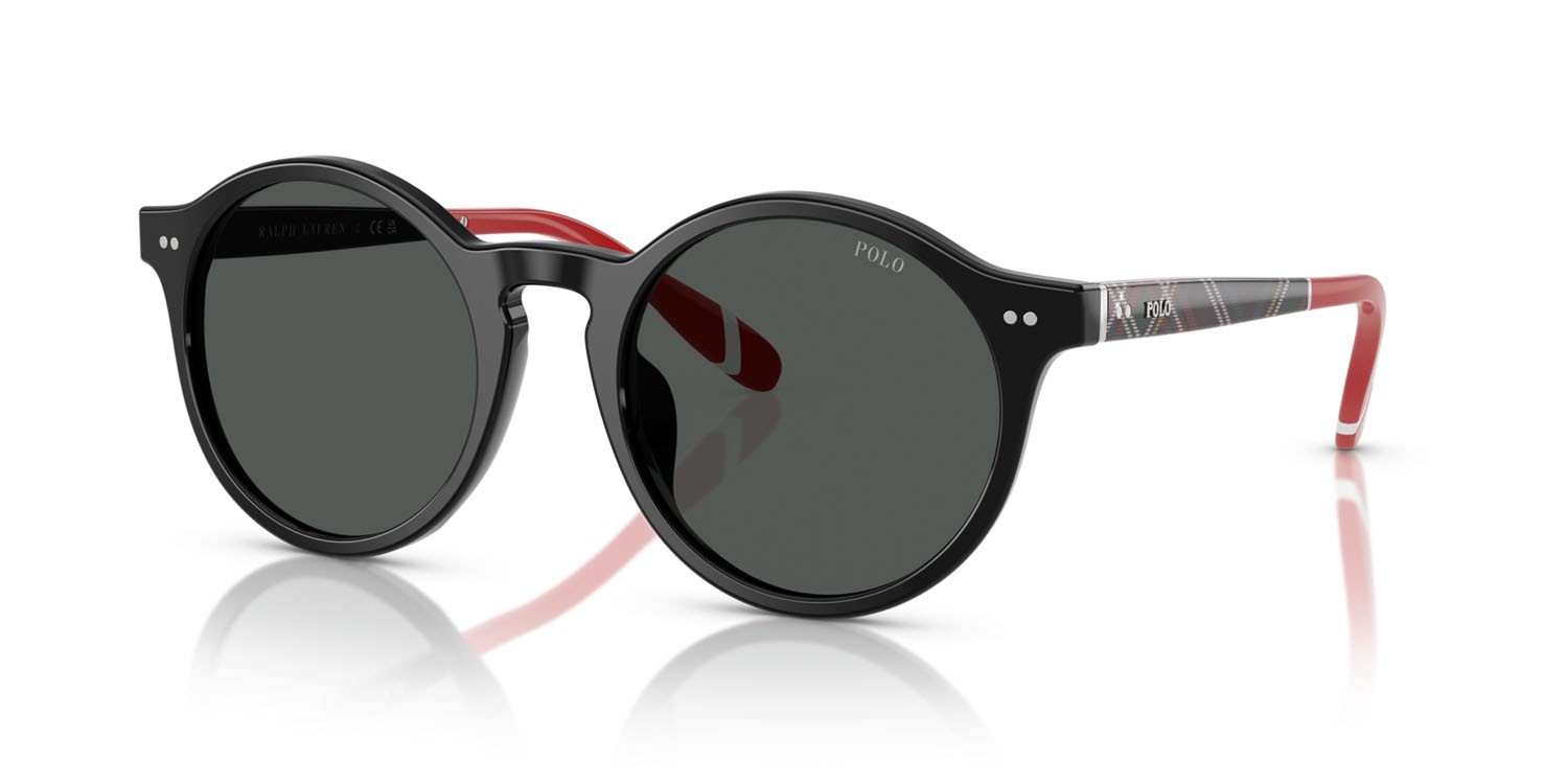 Sunglasses Polo PH 4204U (562687) color nero lucido shape pantos lenses grigio scuro