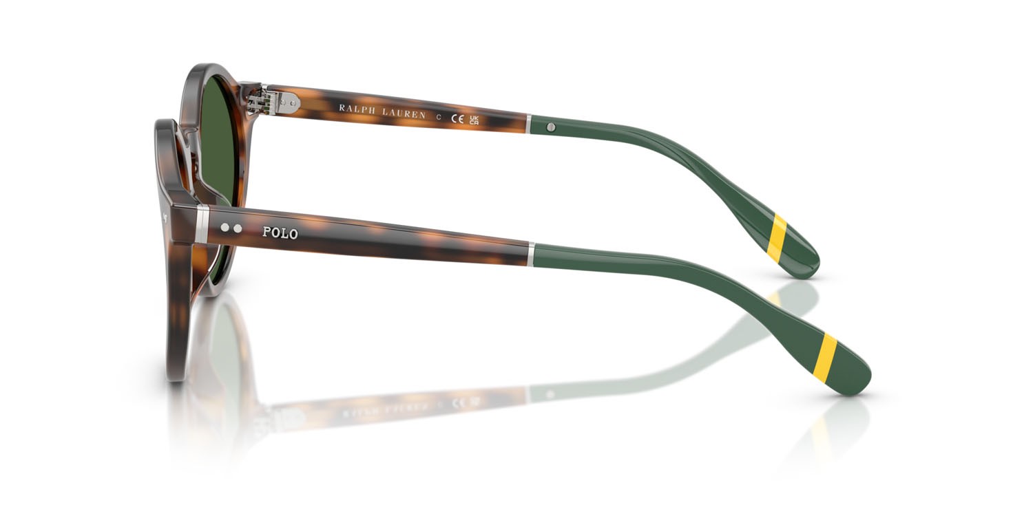 Occhiali da sole Polo PH 4204U (608971) colore rosso lucido havana forma pantos lenti verde bottiglia