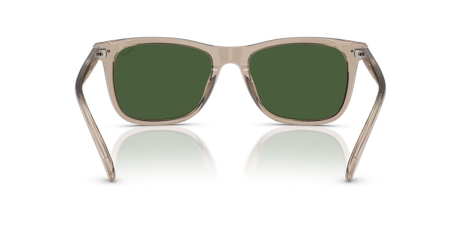 Sunglasses Polo PH 4220U (620171) color tortora scuro lucido trasparente shape square lenses verde bottiglia