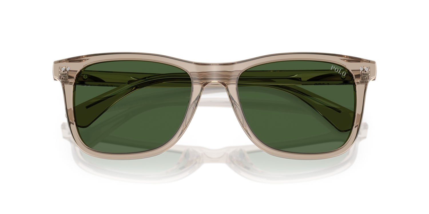 Sunglasses Polo PH 4220U (620171) color tortora scuro lucido trasparente shape square lenses verde bottiglia