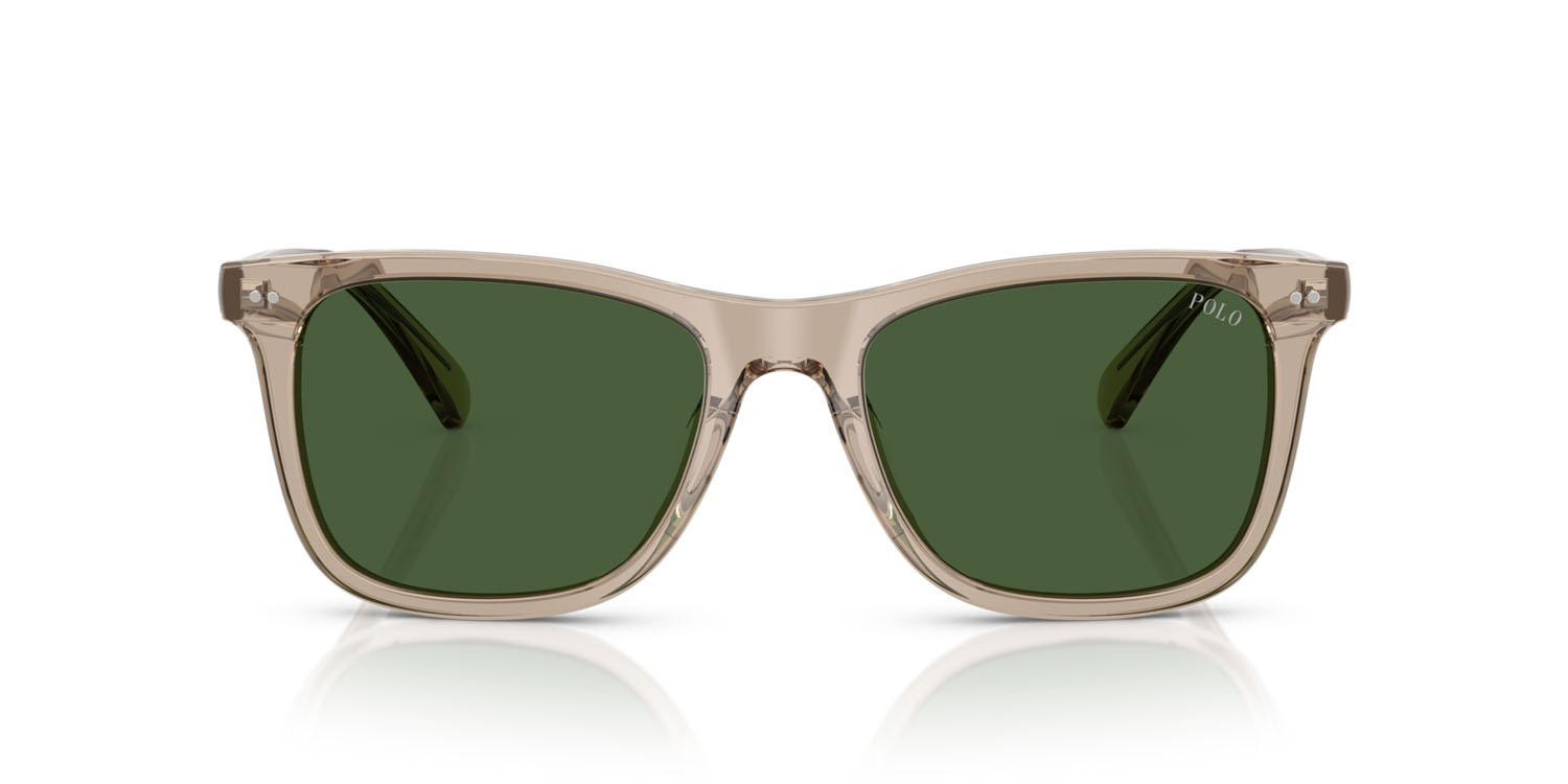 Sunglasses Polo PH 4220U (620171) color tortora scuro lucido trasparente shape square lenses verde bottiglia