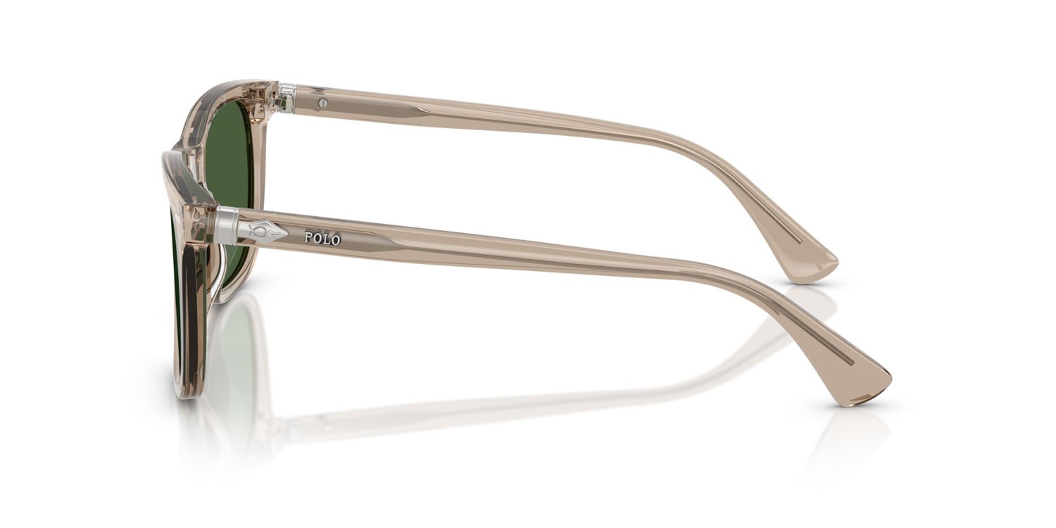 Sunglasses Polo PH 4220U (620171) color tortora scuro lucido trasparente shape square lenses verde bottiglia