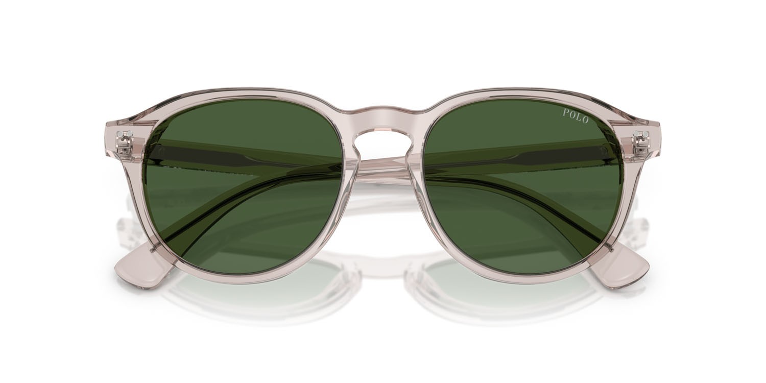 Occhiali da sole Polo PH 4221 (611771) colore tortora chiaro trasparente lucido forma pantos lenti verde bottiglia