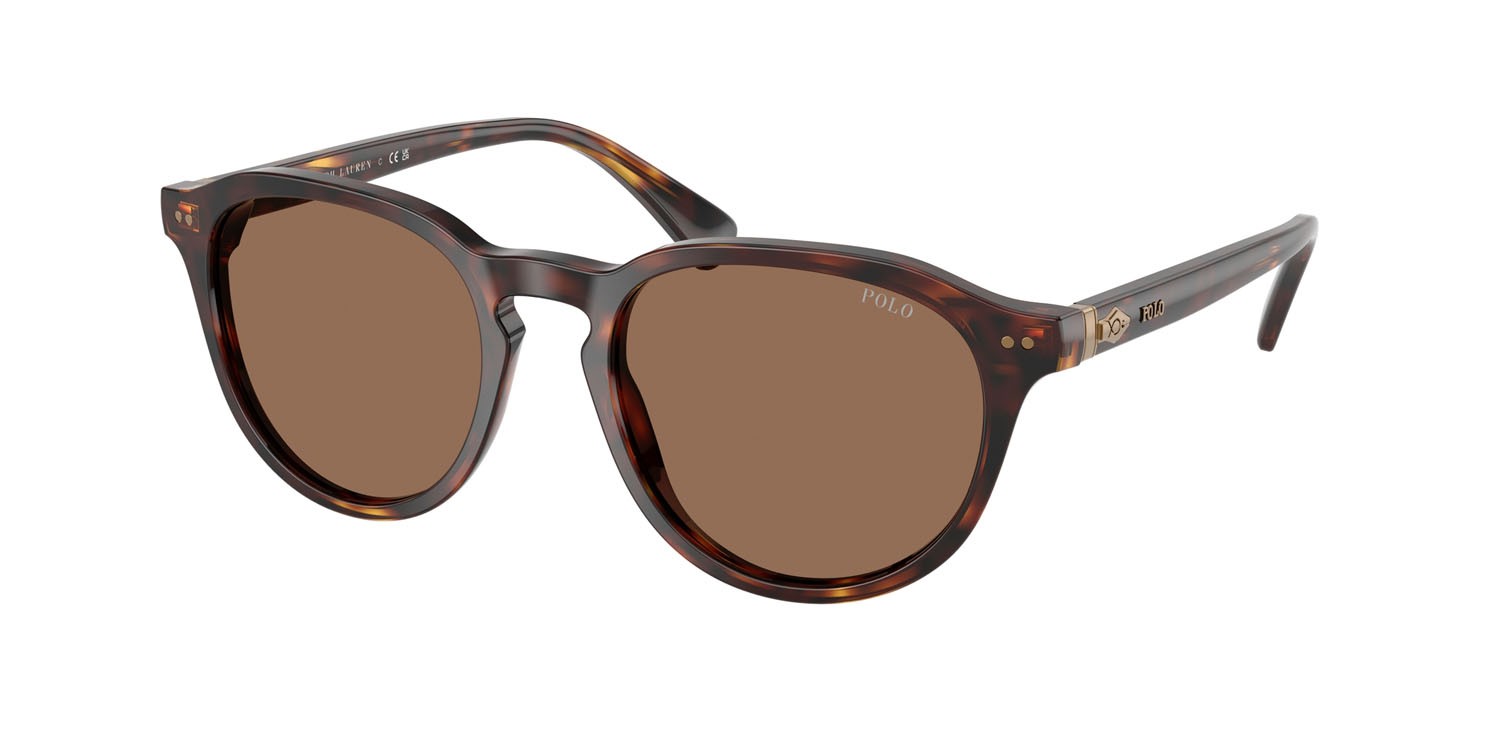 Occhiali da sole Polo PH 4221 (613773) colore marrone tartarugato brillante forma pantos lenti marrone scuro