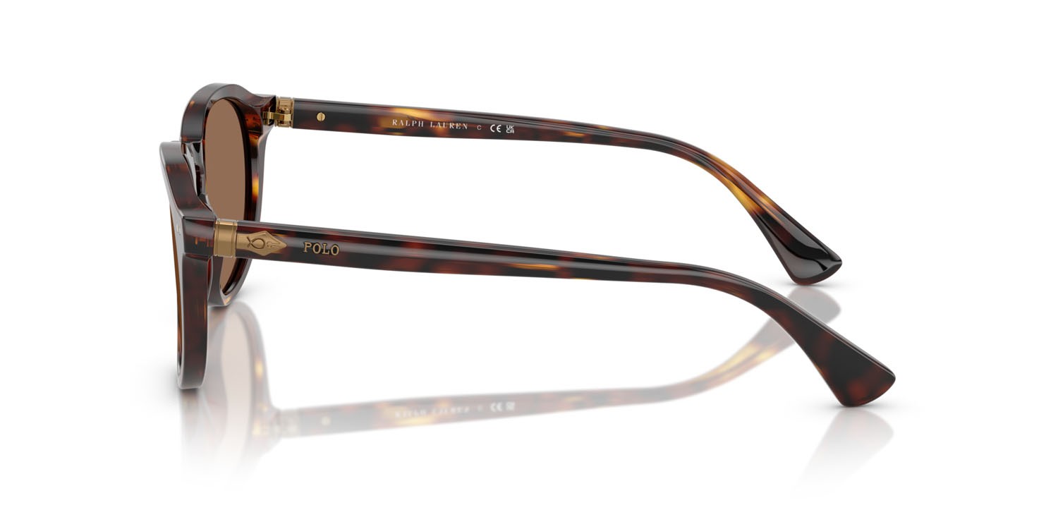 Occhiali da sole Polo PH 4221 (613773) colore marrone tartarugato brillante forma pantos lenti marrone scuro