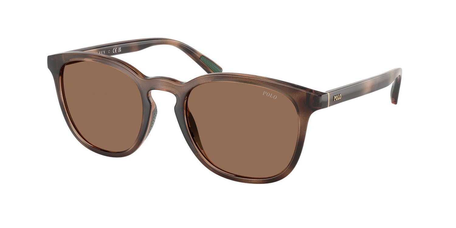 Sunglasses Polo PH 4222U (597473) color havana scuro lucido shape round lenses marrone scuro