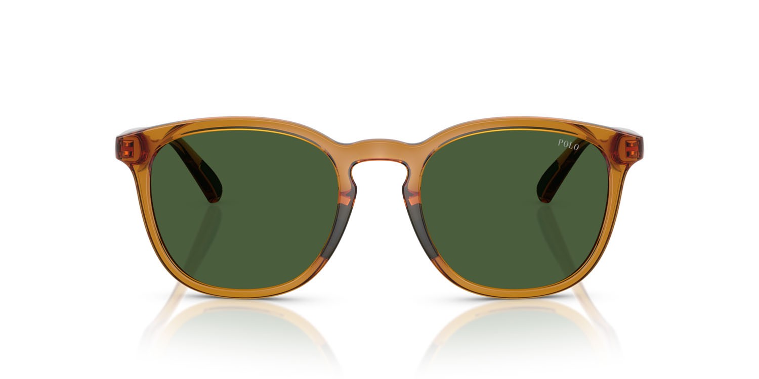 Sonnenbrillen Polo PH 4222U (620971) farbe miele trasparente lucido/marrone form rund gläser verde bottiglia