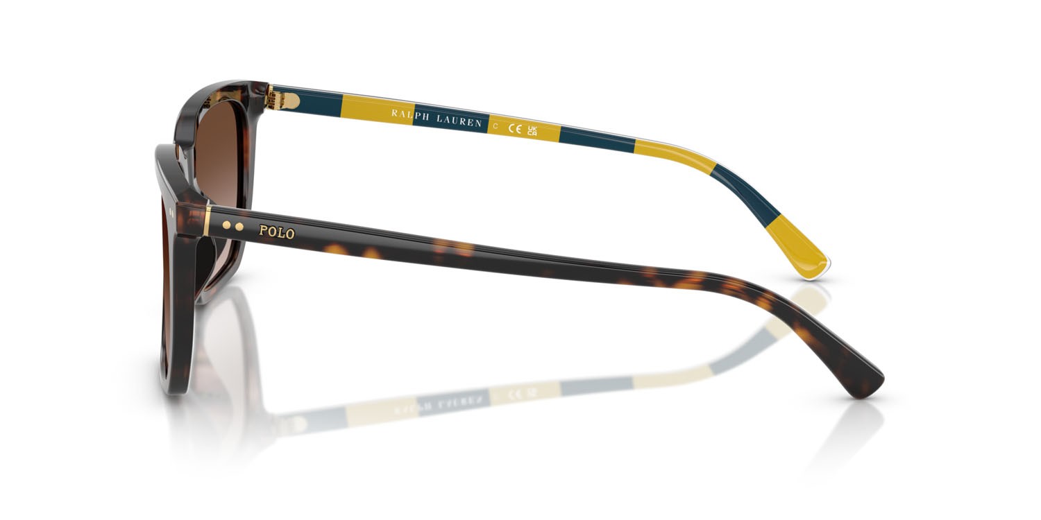 Sunglasses Polo PH 4224U (500313) color havana scuro lucido shape rectangle lenses gradient dark brown