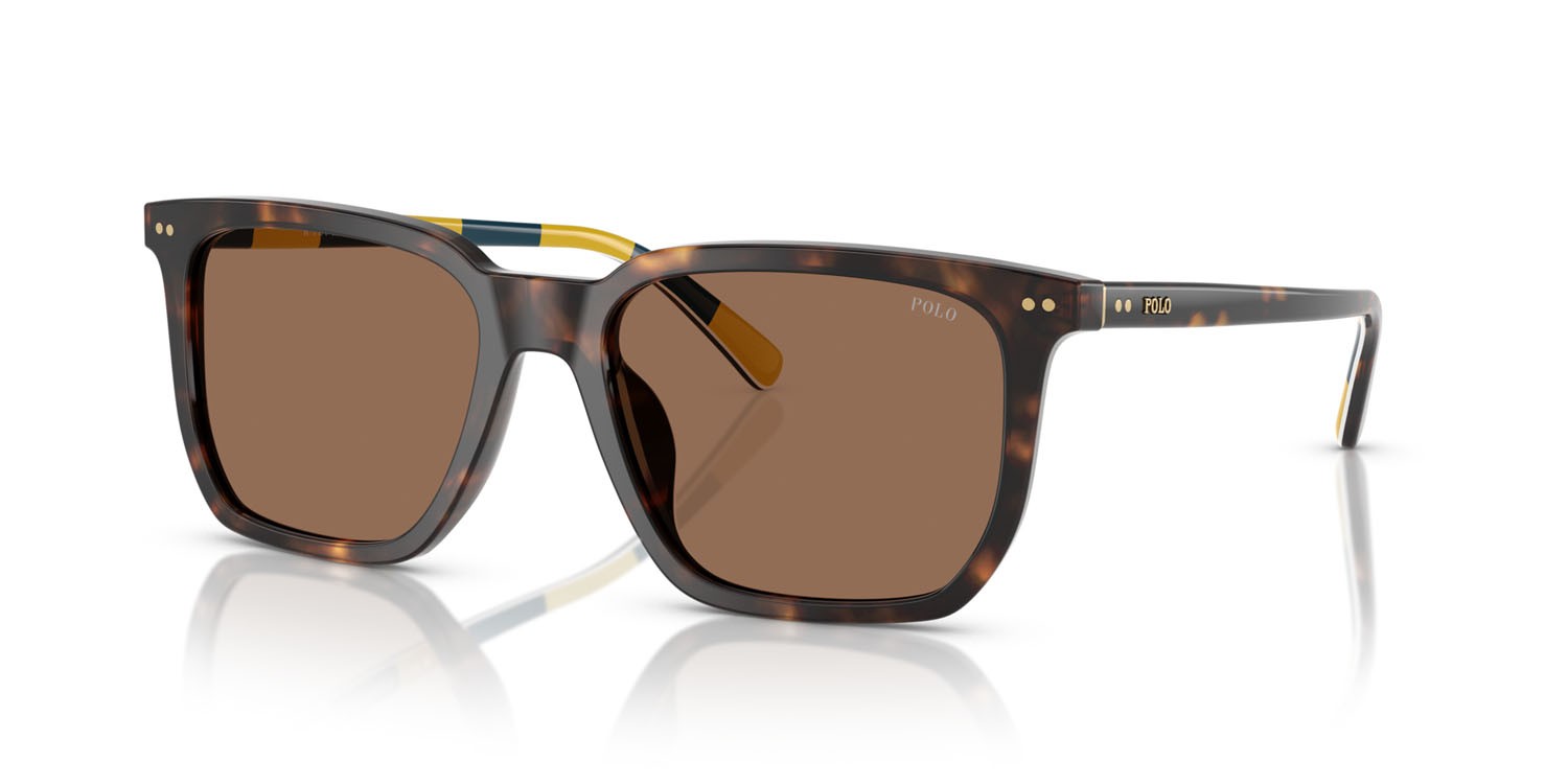 Occhiali da sole Polo PH 4224U (500373) colore havana scuro lucido forma rettangolare lenti marrone scuro