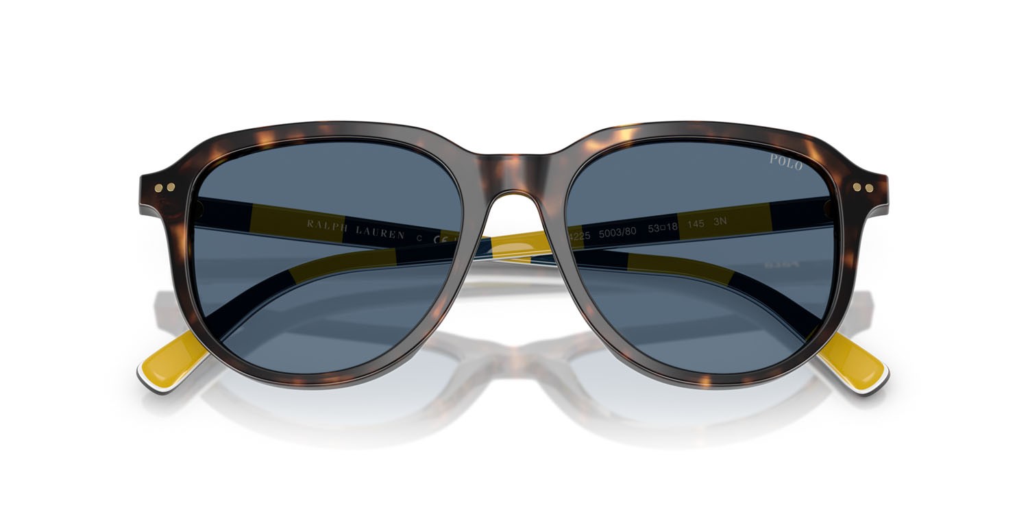 Occhiali da sole Polo PH 4225 (500380) colore havana scuro lucido forma aviator lenti blu scuro