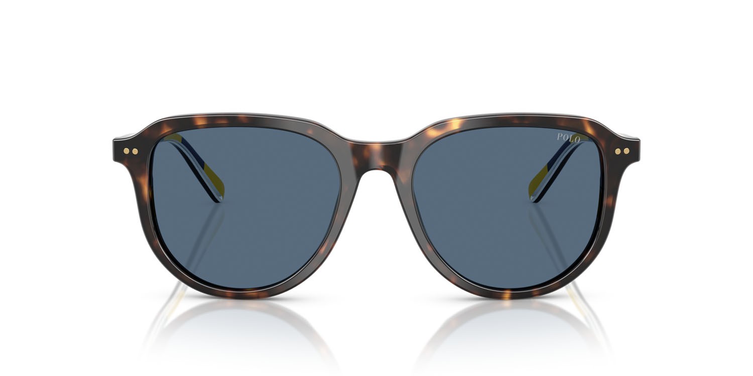 Occhiali da sole Polo PH 4225 (500380) colore havana scuro lucido forma aviator lenti blu scuro