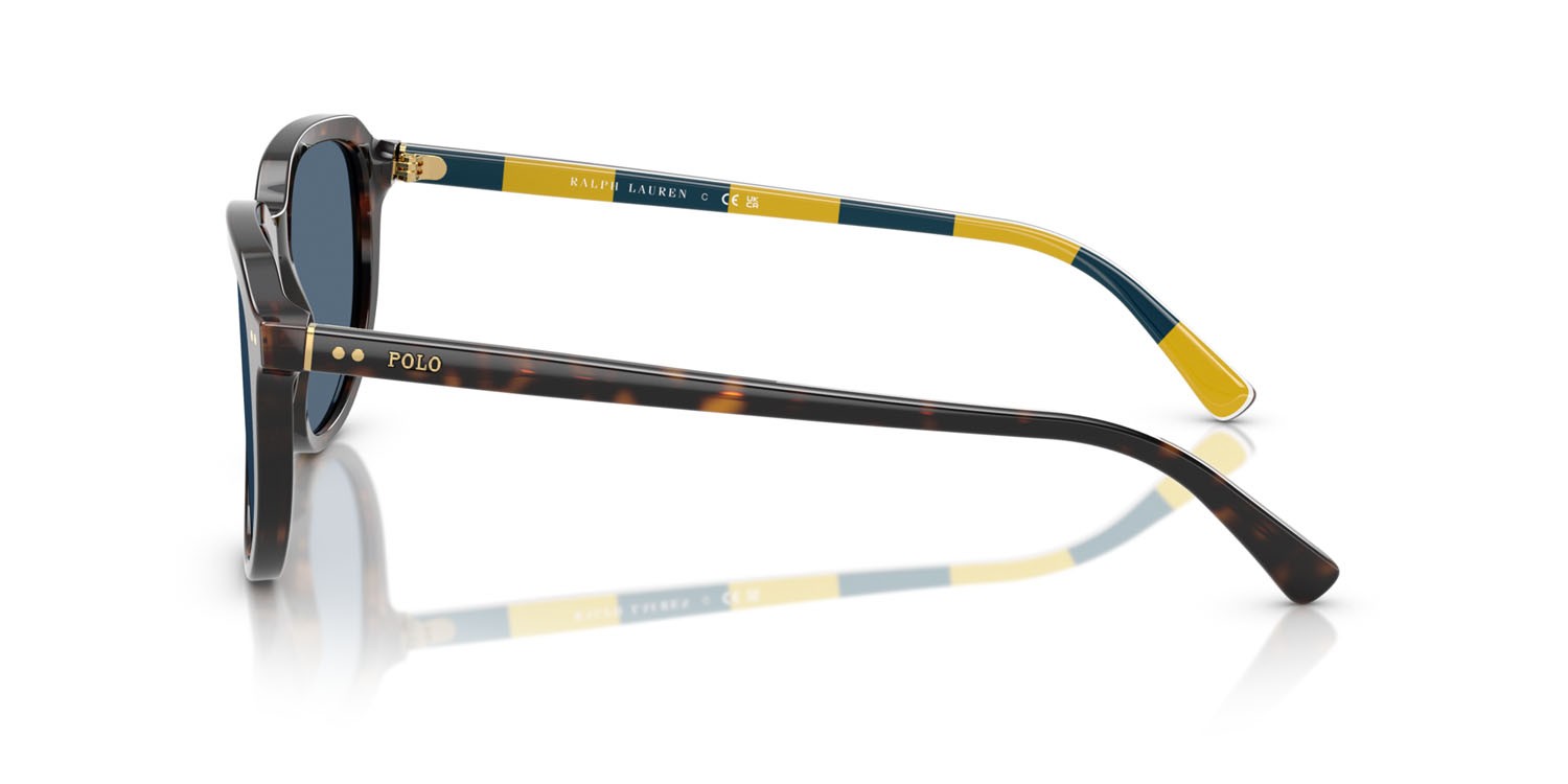 Occhiali da sole Polo PH 4225 (500380) colore havana scuro lucido forma aviator lenti blu scuro