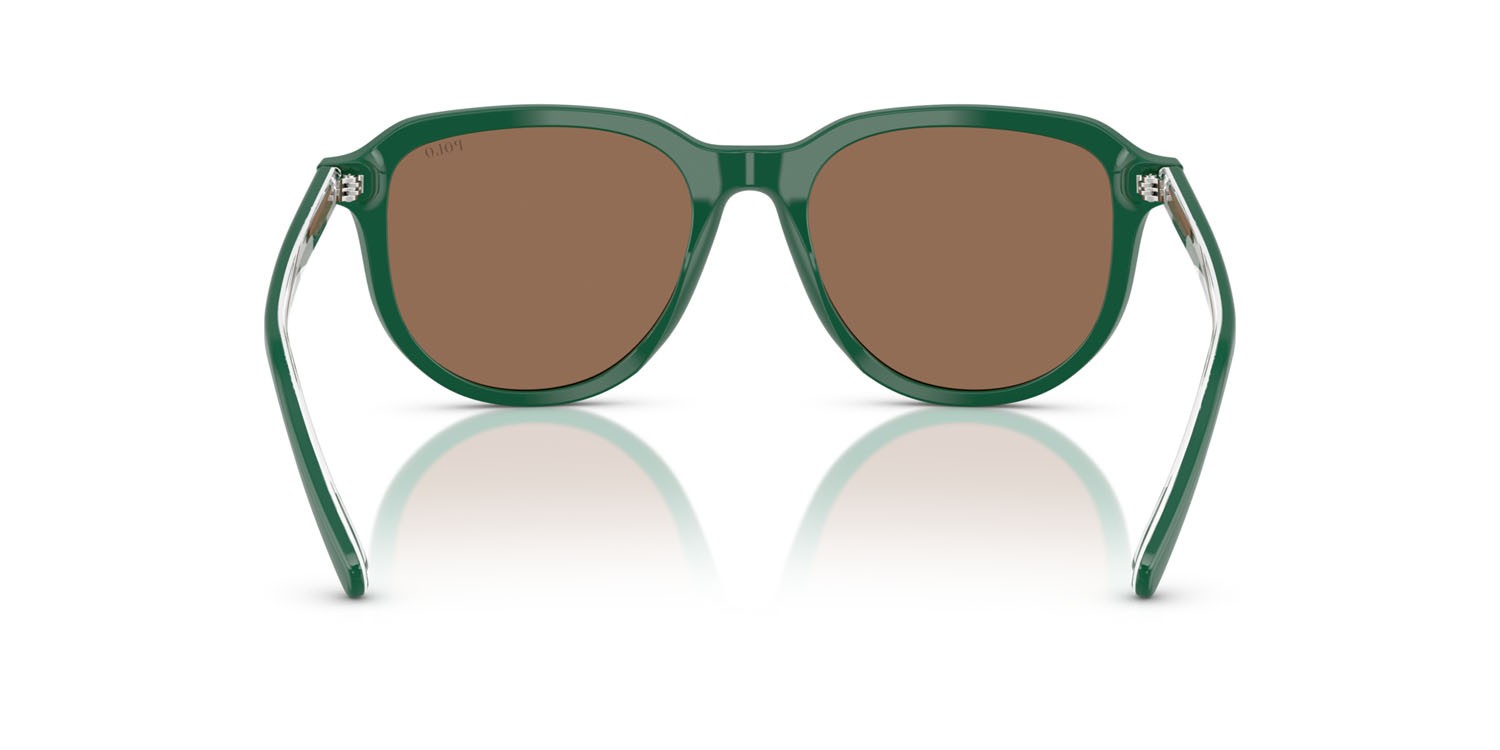 Occhiali da sole Polo PH 4225 (542173) colore verde scuro lucido forma aviator lenti marrone scuro