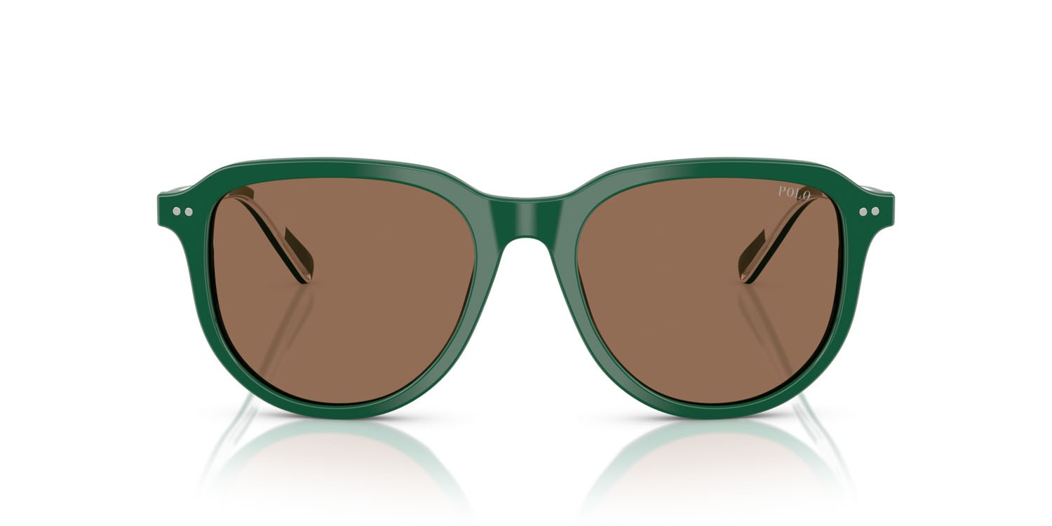 Occhiali da sole Polo PH 4225 (542173) colore verde scuro lucido forma aviator lenti marrone scuro