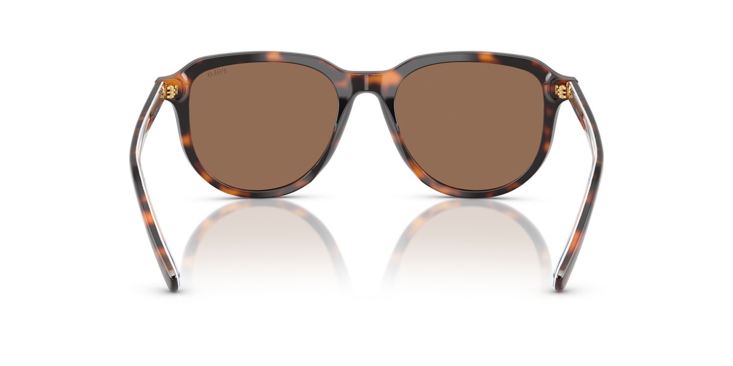 Occhiali da sole Polo PH 4225 (613773) colore havana scuro lucido forma aviator lenti marrone scuro