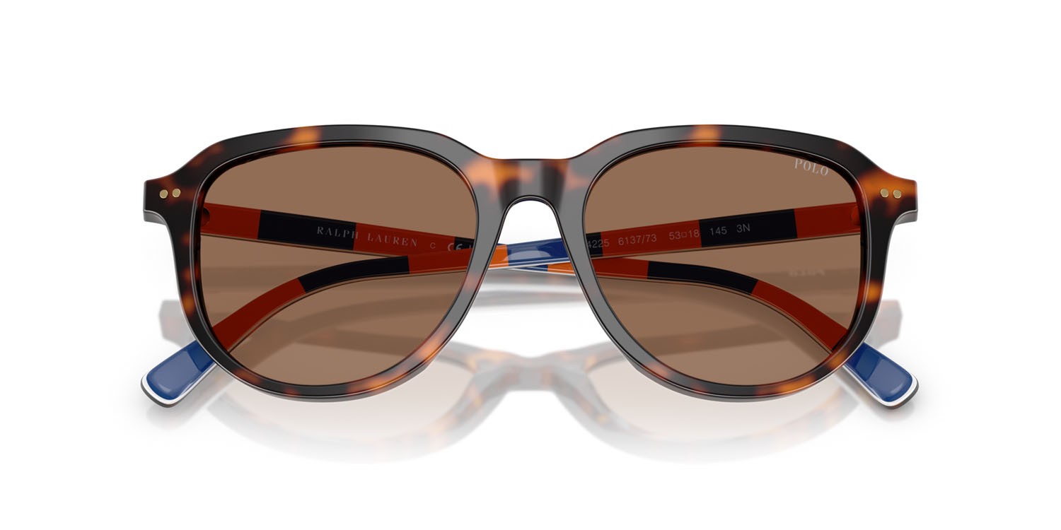 Occhiali da sole Polo PH 4225 (613773) colore havana scuro lucido forma aviator lenti marrone scuro