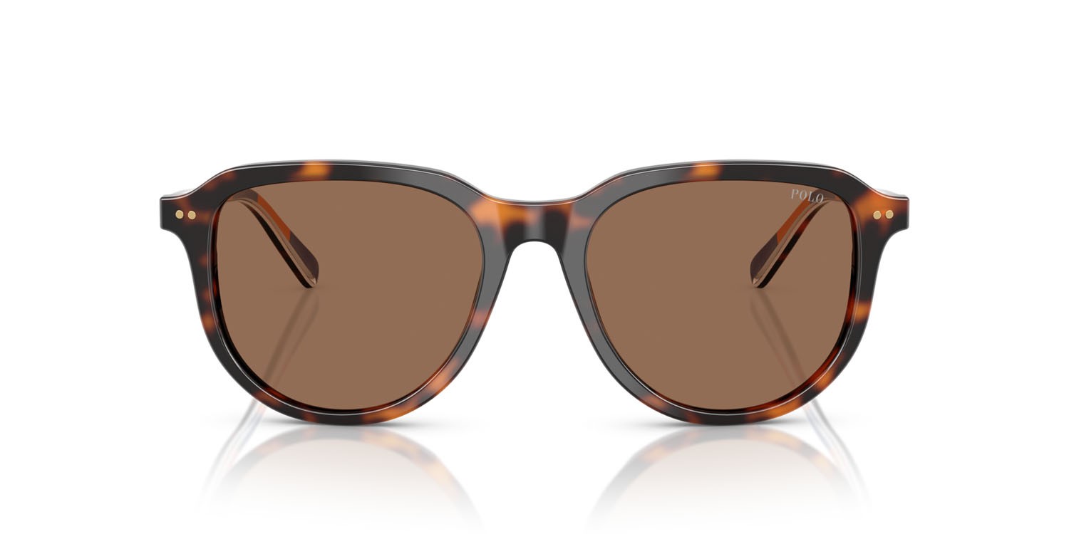 Occhiali da sole Polo PH 4225 (613773) colore havana scuro lucido forma aviator lenti marrone scuro