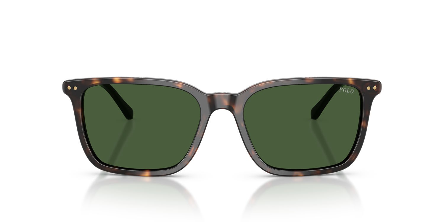 Occhiali da sole Polo PH 4226 (567371) colore havana scuro lucido forma quadrato lenti verde bottiglia