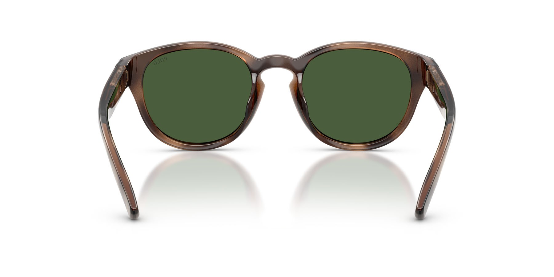 Occhiali da sole Polo PH 4233U (607071) colore havana scuro lucido forma pantos lenti verde bottiglia