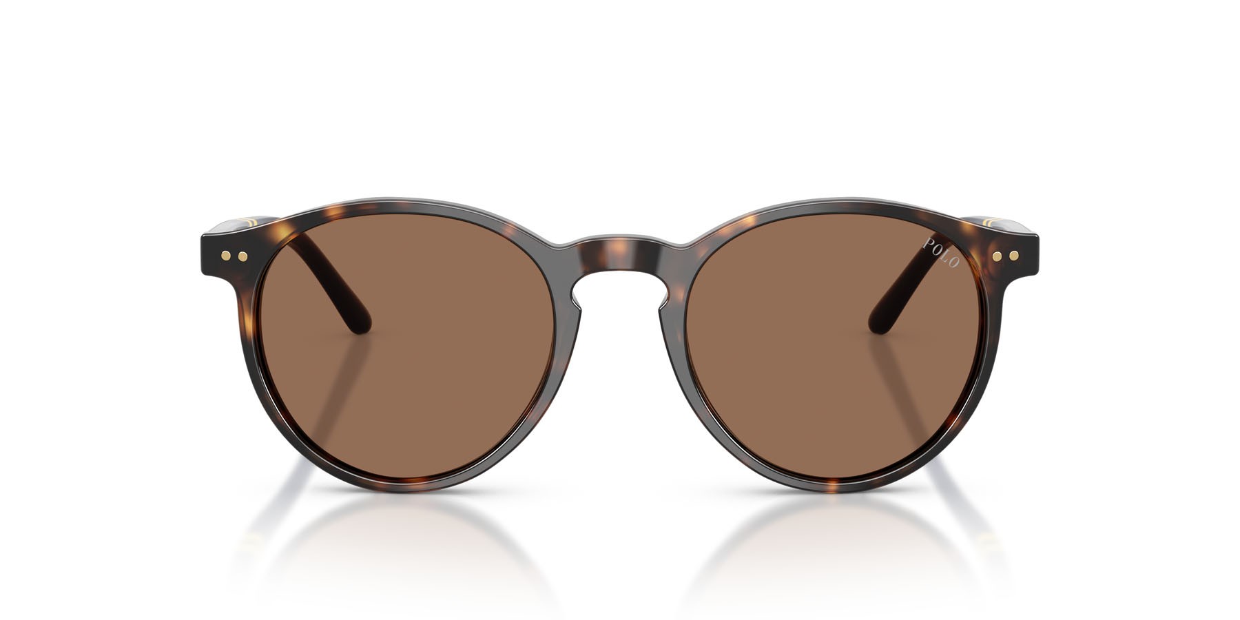 Occhiali da sole Polo PH 4236 (500373) colore havana scuro lucido forma rotondo lenti marrone