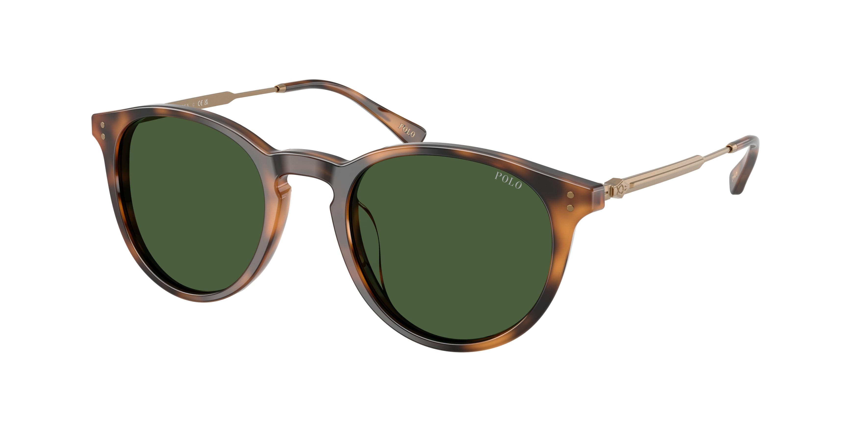 Sunglasses Polo PH 4239U (500371) color rosso lucido havana shape pantos lenses verde scuro