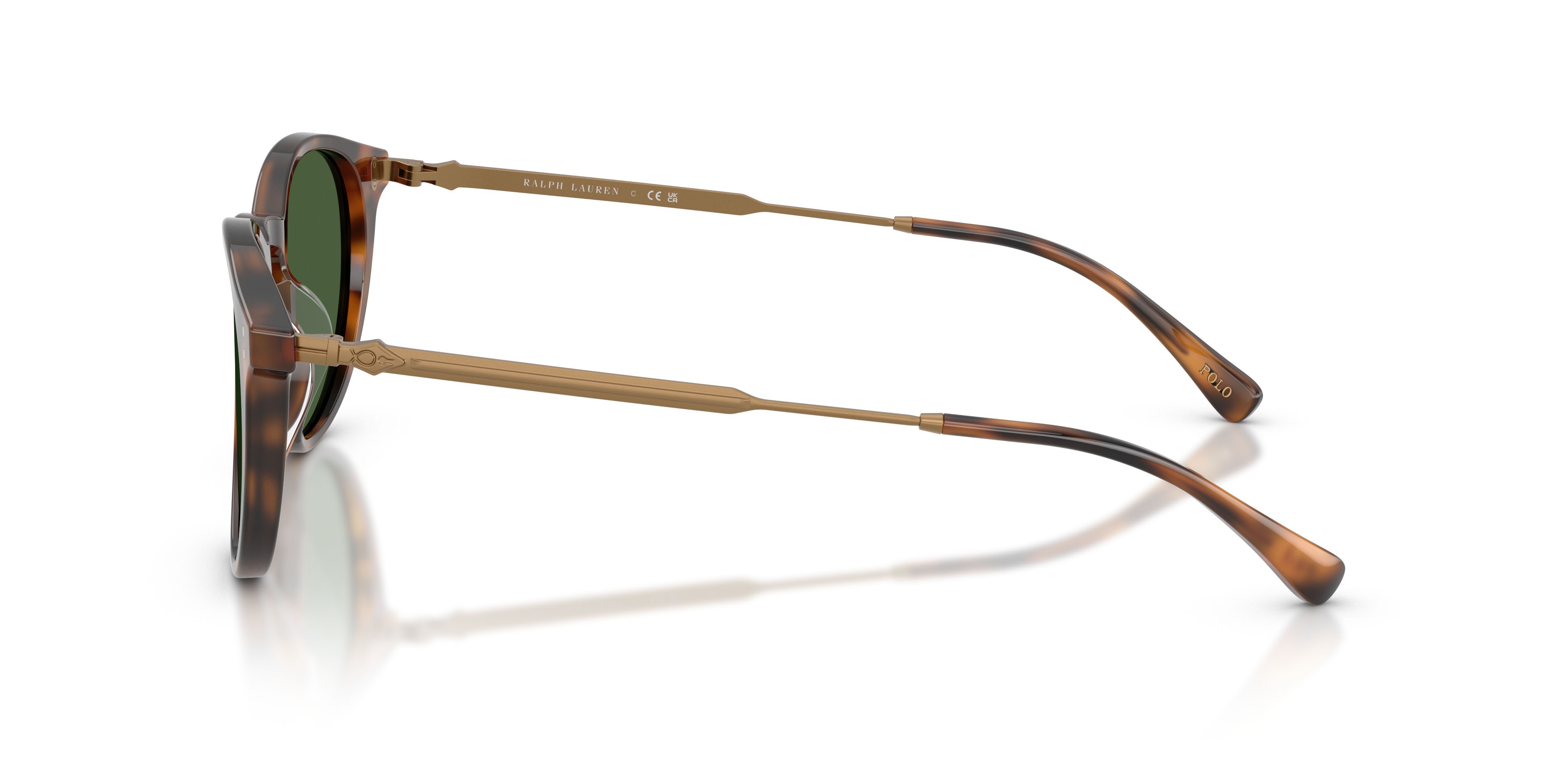 Sunglasses Polo PH 4239U (500371) color rosso lucido havana shape pantos lenses verde scuro